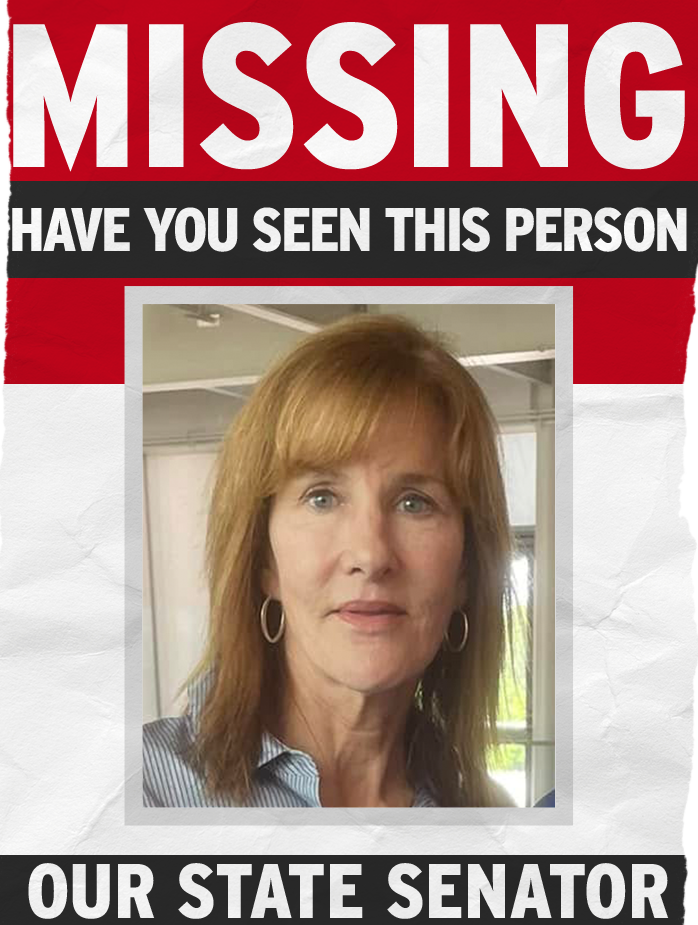 Headshot State Senator Mary-Dulany James on a MISSING poster